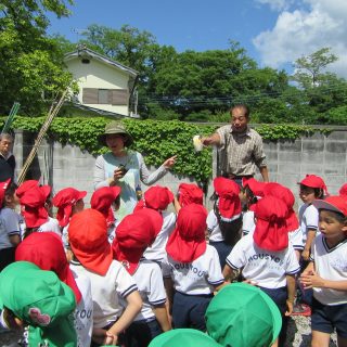 「大きく大きくな～れ」年長組