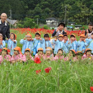 「高原牧場へ」年中組