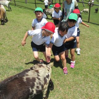 「高原牧場へ」年長組