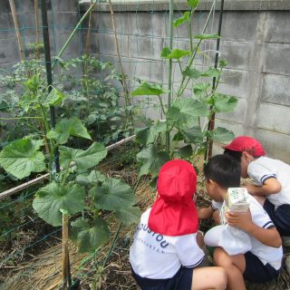 「大きくなってるよ」