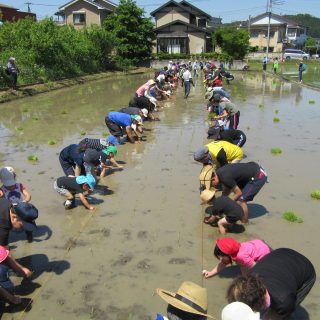田植え☆年長組
