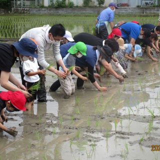 みんな泥んこ「田植え」