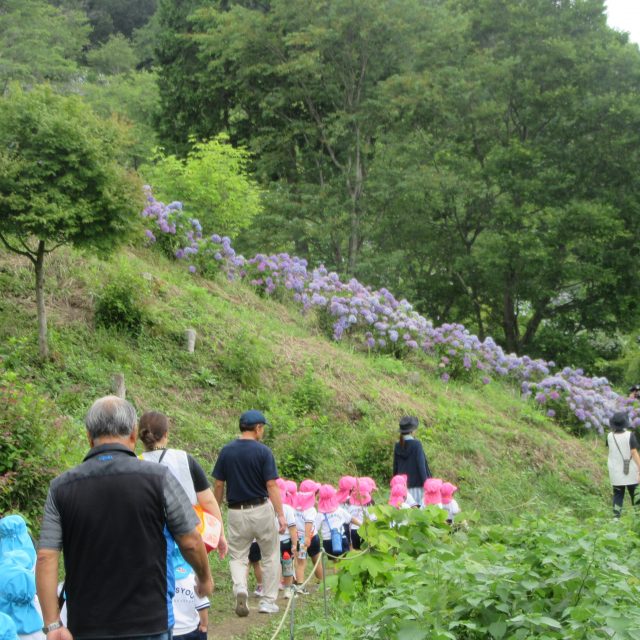 「あじさい見学♡美の山」年少組