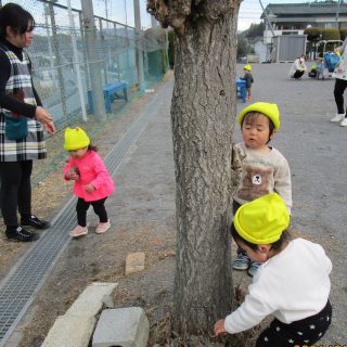 ０歳児「たまご組」の今