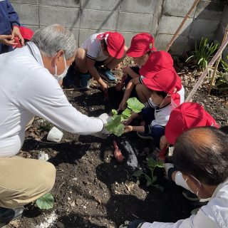 苗植え⭐️年長組