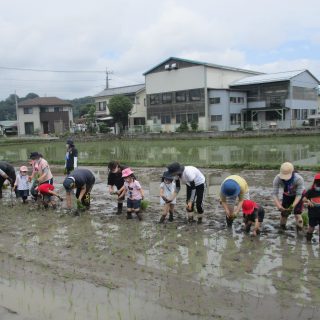 田植え☆年長組