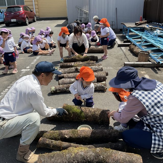 コマ打ち体験☆年中組
