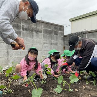 キューリ＊トマト苗植え☆年長組