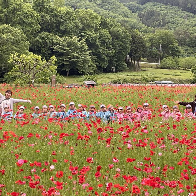 園外保育☆年中組