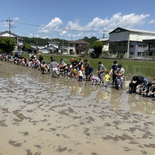 田植え☆年長組