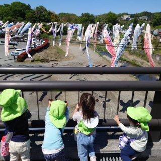 こいのぼり見学☆ことり組