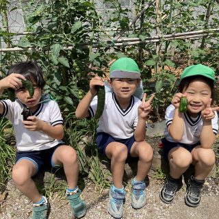 野菜できたよ〜🍅