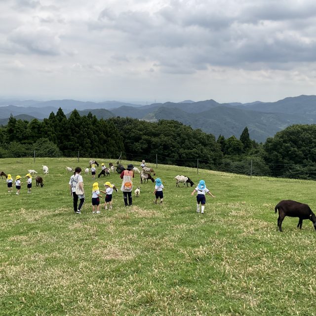 高原牧場⭐️年少組