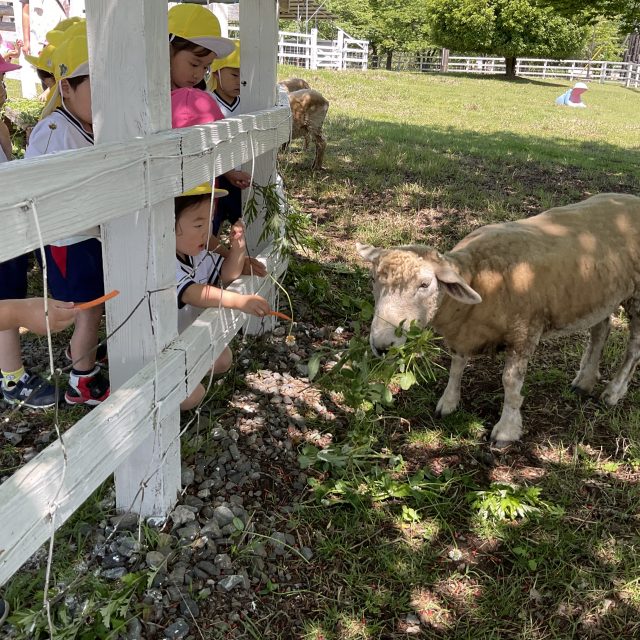 年少組「園外保育」