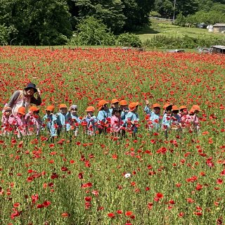 年中組「高原牧場」