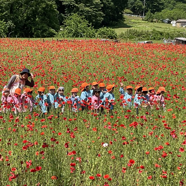年中組「高原牧場」
