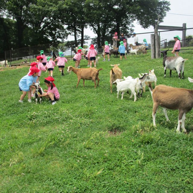 高原牧場へ☆年長組