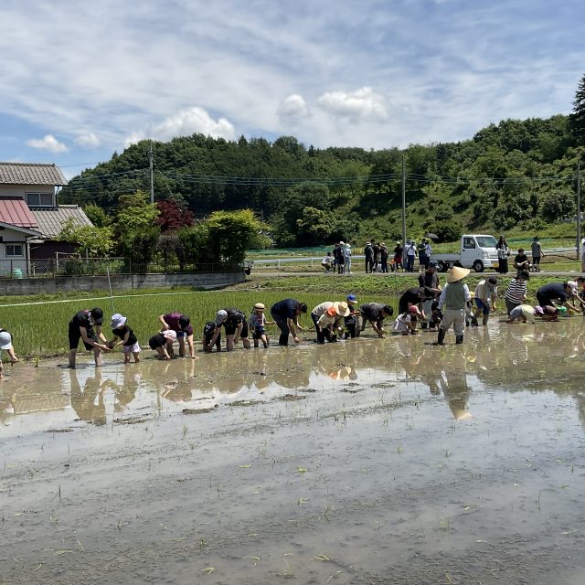 田植え☆年長組